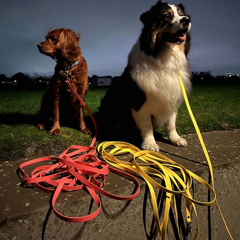 Sporline til hund